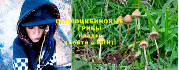 шишки Саяногорск