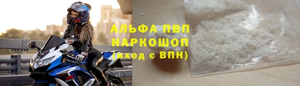 PSILOCYBIN Сатка